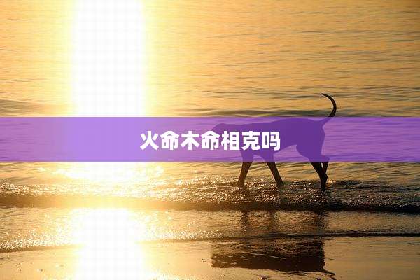 火命木命相克吗