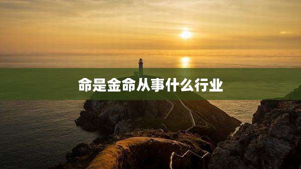 命是金命从事什么行业
