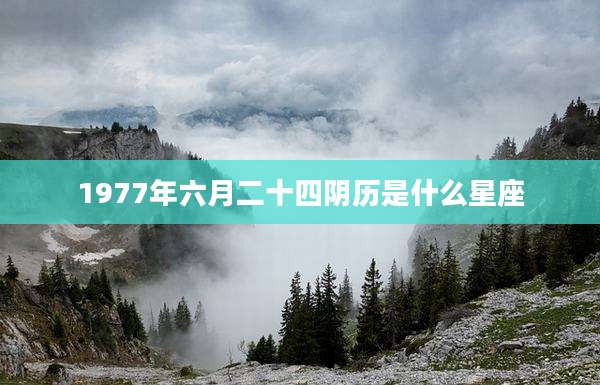 1977年六月二十四阴历是什么星座