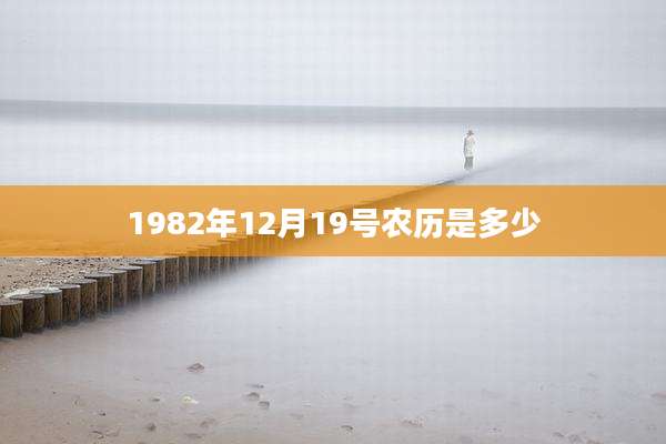 1982年12月19号农历是多少