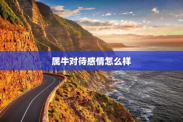 属牛对待感情怎么样