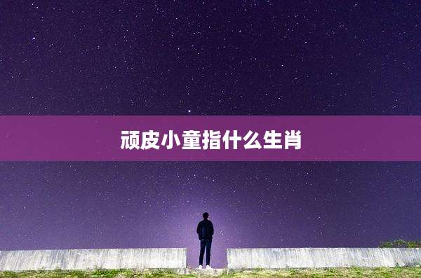 顽皮小童指什么生肖