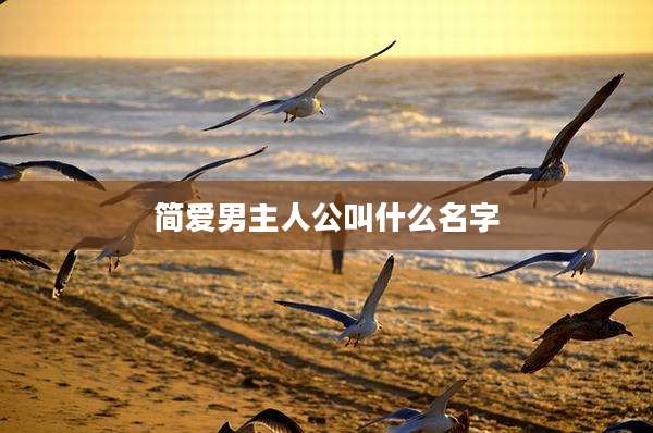 简爱男主人公叫什么名字