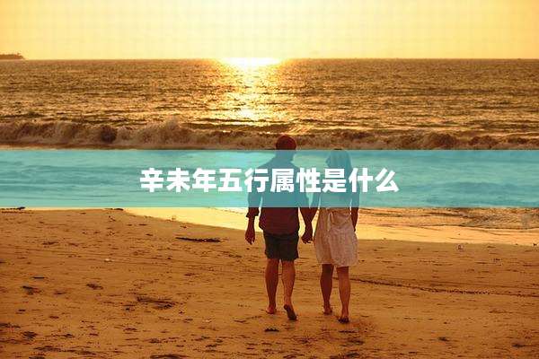 辛未年五行属性是什么