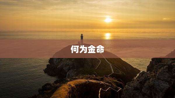 何为金命