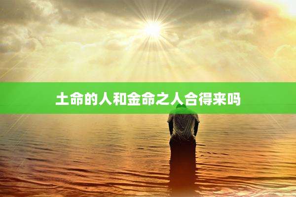 土命的人和金命之人合得来吗