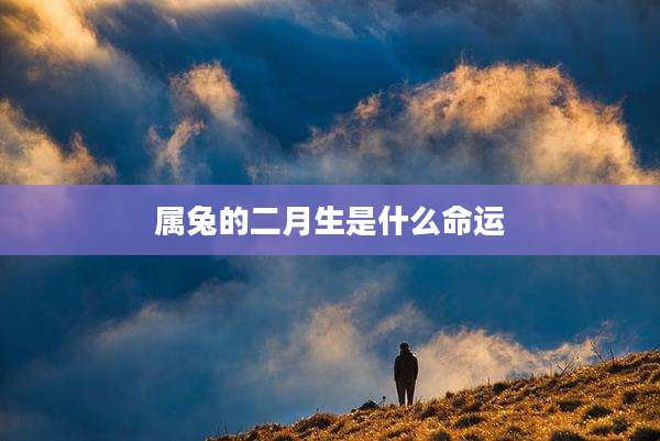 属兔的二月生是什么命运