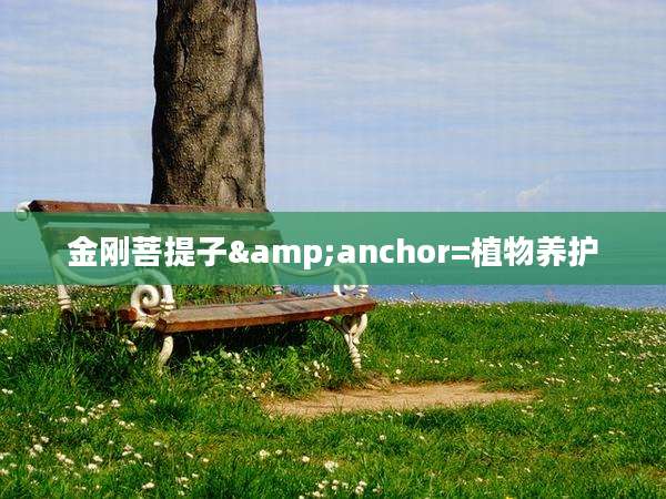 金刚菩提子&anchor=植物养护