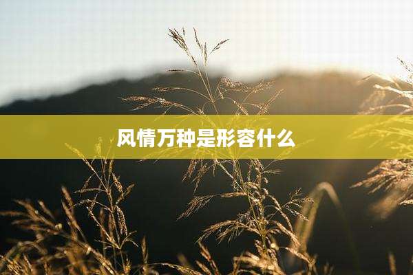 风情万种是形容什么