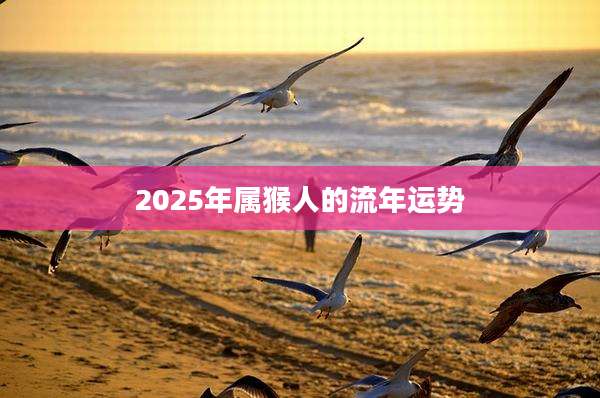 2025年属猴人的流年运势