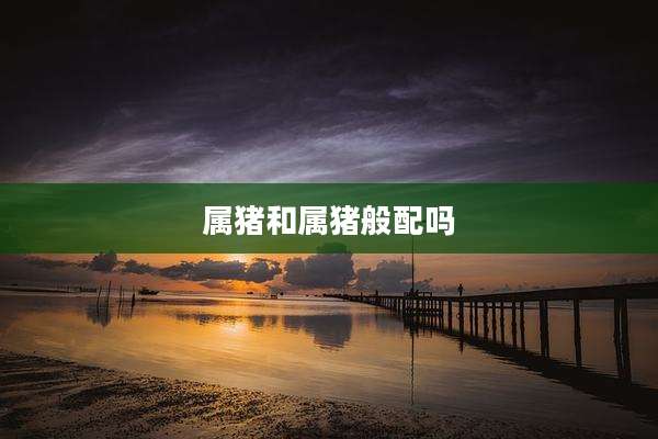 属猪和属猪般配吗