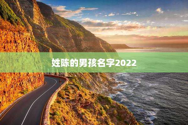 姓陈的男孩名字2022