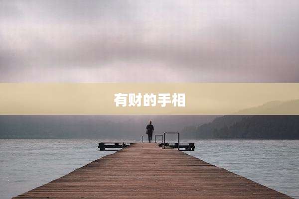 有财的手相