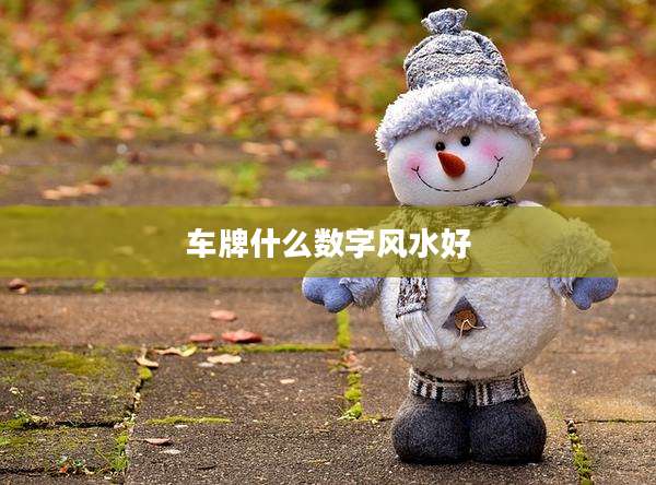 车牌什么数字风水好