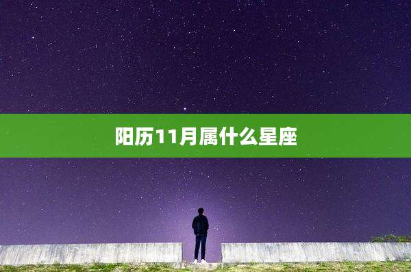 阳历11月属什么星座