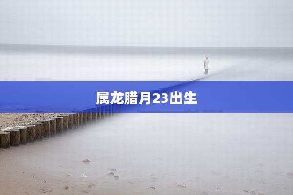 属龙腊月23出生