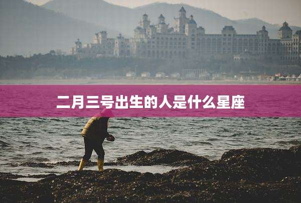 二月三号出生的人是什么星座