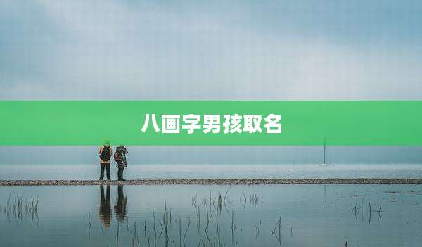 八画字男孩取名