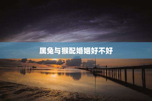 属兔与猴配婚姻好不好