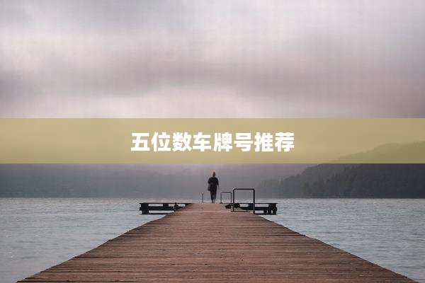 五位数车牌号推荐