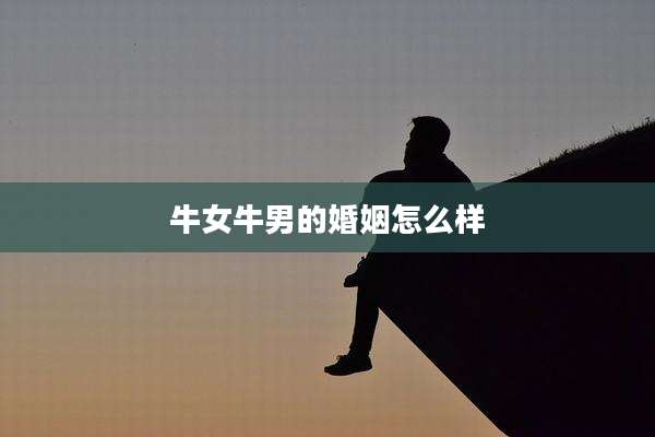 牛女牛男的婚姻怎么样