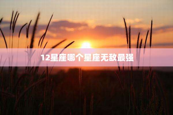 12星座哪个星座无敌最强