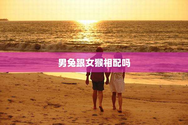 男兔跟女猴相配吗