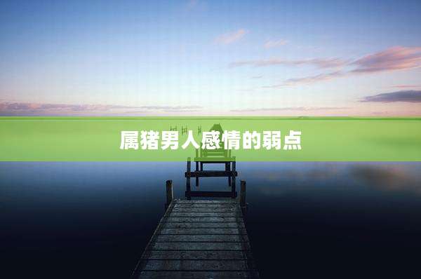 属猪男人感情的弱点