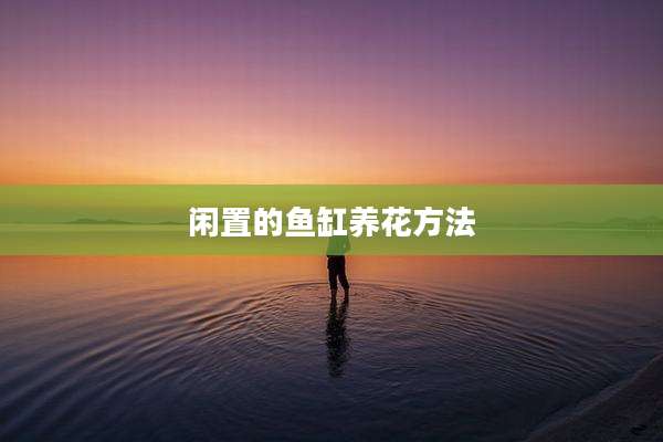 闲置的鱼缸养花方法