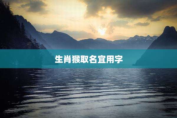 生肖猴取名宜用字