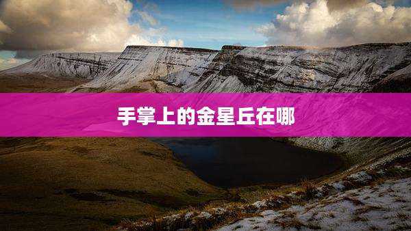 手掌上的金星丘在哪