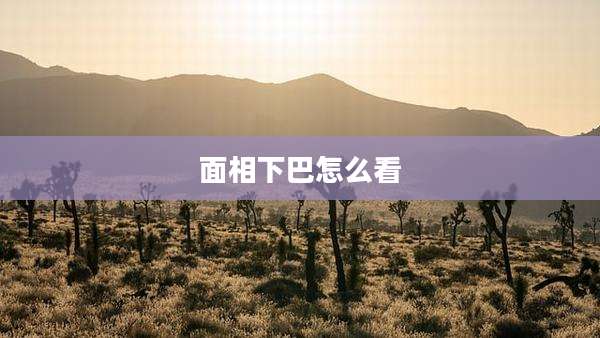 面相下巴怎么看