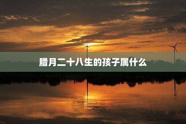 腊月二十八生的孩子属什么