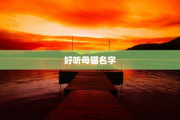 好听母猫名字