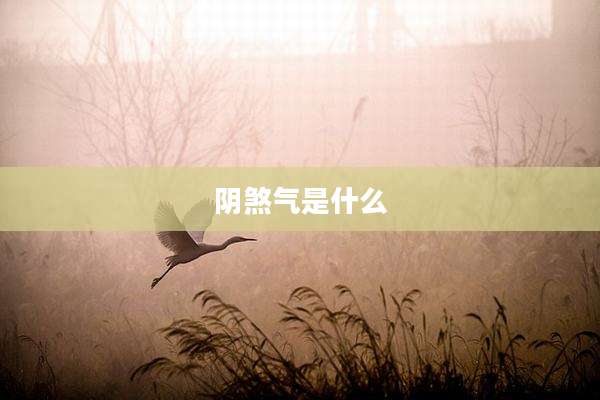 阴煞气是什么
