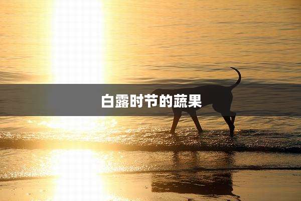 白露时节的蔬果