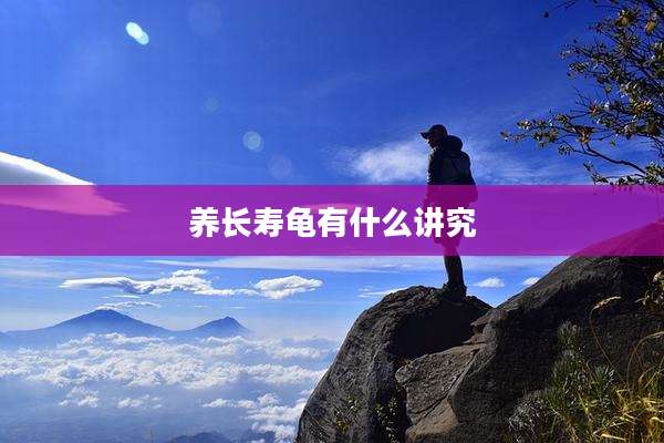 养长寿龟有什么讲究