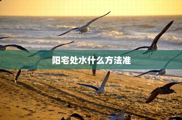 阳宅处水什么方法准