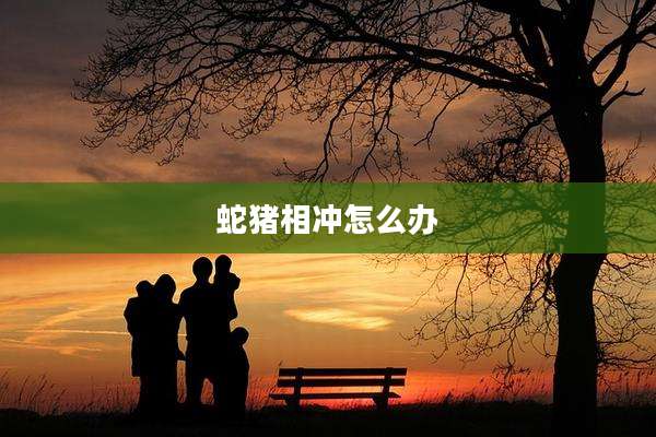 蛇猪相冲怎么办