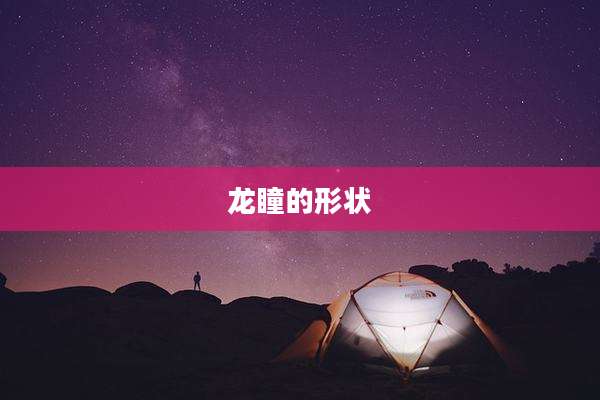 龙瞳的形状