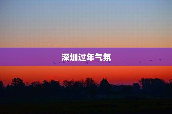 深圳过年气氛