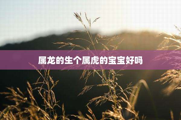 属龙的生个属虎的宝宝好吗