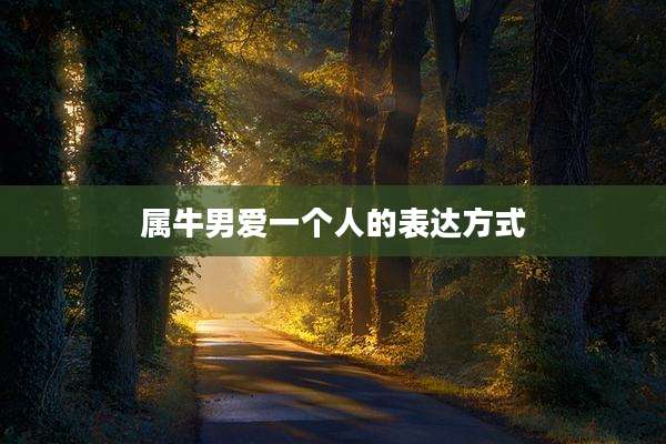 属牛男爱一个人的表达方式