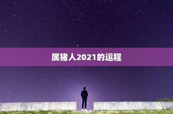 属猪人2021的运程