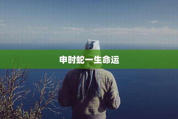 申时蛇一生命运