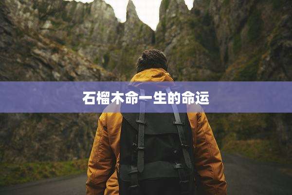 石榴木命一生的命运