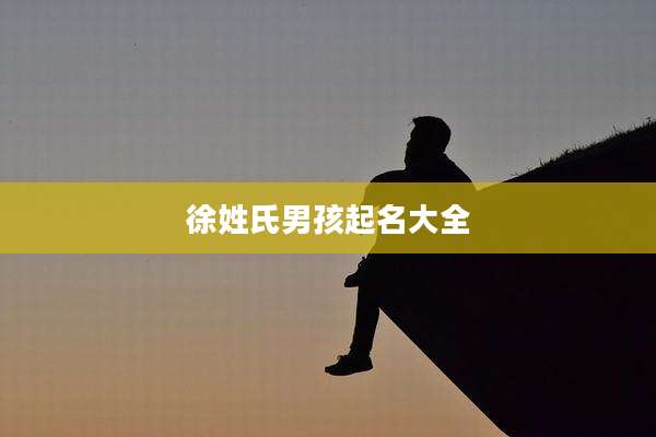 徐姓氏男孩起名大全