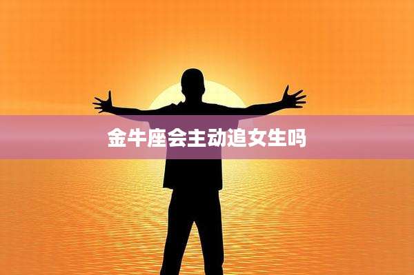 金牛座会主动追女生吗