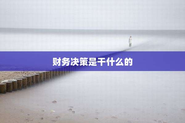 财务决策是干什么的