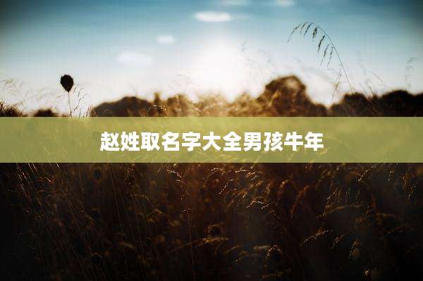 赵姓取名字大全男孩牛年